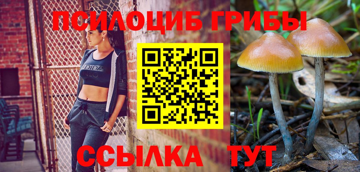 Псилоцибиновые грибы мухоморы Протвино